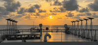 Starlink TGS Seismic Data Enables Real-Time Collaboration in the Arctic