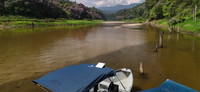 Starlink RIMAU Conservation Strengthens Tiger Protection in Malaysia's Belum-Temengor Rainforest